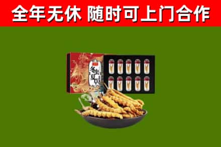 嵩县烟酒回收冬虫夏草礼盒.jpg